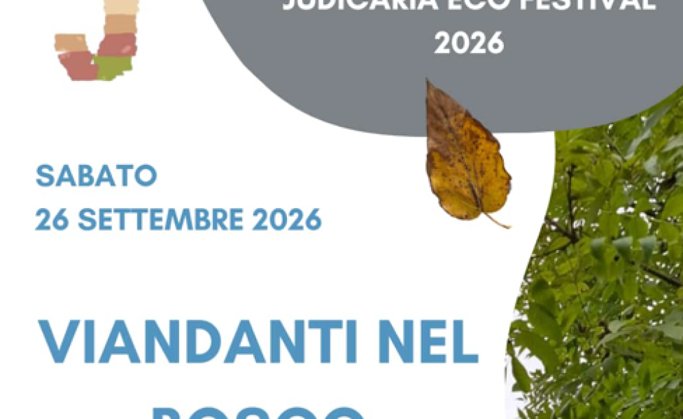 Viandanti nel bosco